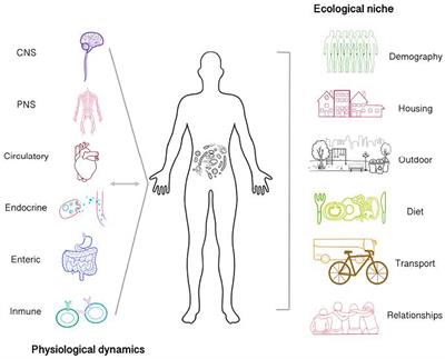 Measuring the Brain-Gut Axis in Psychological Sciences: A Necessary Challenge